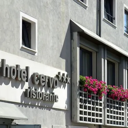 Cervo
